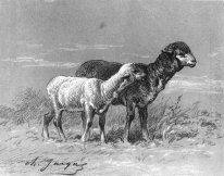 Ewe and Lamb