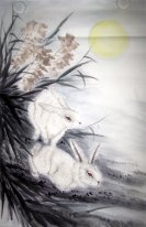 Rabbit - Chinese Painting