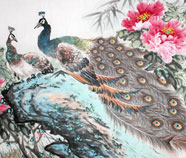 Chinese peacock paintings