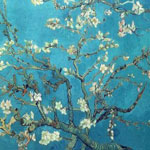 branches avec almond blossom 1890