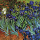 Iris 1889