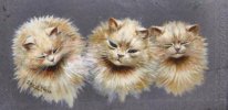 THREE CATS