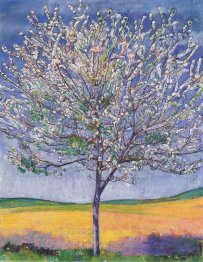 Cherry Tree In Bloom 1905