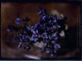 Violets