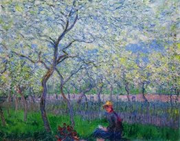 An Orchard In Spring