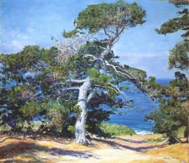 Ein Carmel Pine