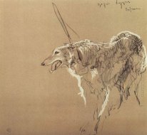 Greyhound Kerajaan Hunting 1902