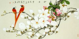 Birds&Flowers - Chinese Painting