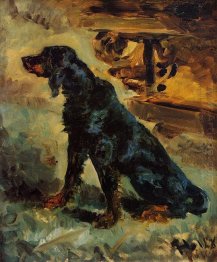 Dun A Gordon Setter Belonging To Comte Alphonse De Toulouse Laut