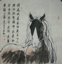 Horse - Chinese Painting