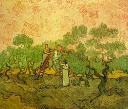 Olive Picking 1889