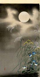 Moon and Blue Flowers