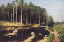 Bosque de pinos en los bancos del río