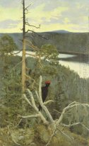 The Great Black Woodpecker