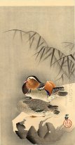 Mandarin Ducks in Snow