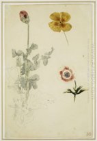 Study Of Flowers 1850