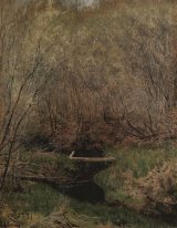 Spring In The Forest 1882