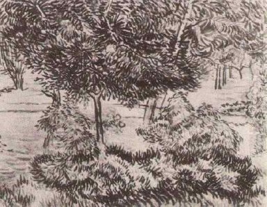 Bomen en struiken 1889