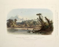 Punka Indians Encamped on the Banks of the Missouri, plate 11 fr