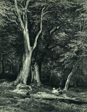 Bosque 1869 1