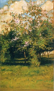 Alberi in fiore