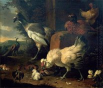 Domestic fowl with a pheasant and peacocks