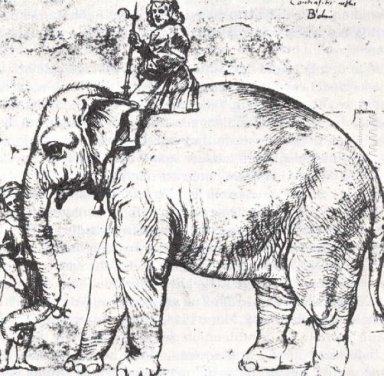 Hanno Der Papst Leo X Elephant S 1516