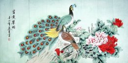 Peacock - Peony - Chinese Painting