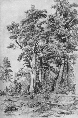 Dalam Hutan 1889