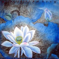 Lotus - Chinese Painting