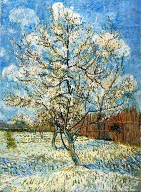 Peach Trees Di Blossom 1888