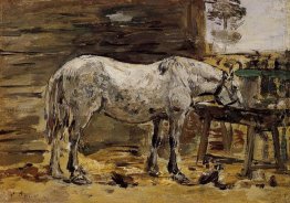 A Horse Drinking