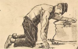 Man Putting Potatoes In A Sack 1881