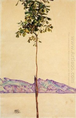 pequeño árbol de castaño en el Lago Constanza 1912