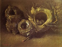 Still Life With Three Birds Nests 1885