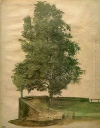 linden tree on a bastion 1494