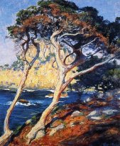 Point Lobos Bomen