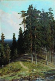 Forest From The Mountain 1895