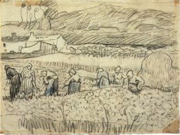 Women Working In Wheat Field 1890