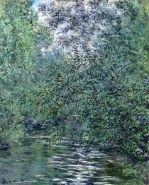 The Willows On The River