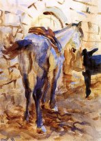 Caballo de silla Palestina 1905