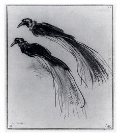 Two Studies Of A Bird Of Paradise 1630