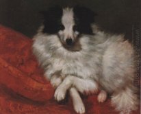 Sitting On Cushions Dog 1855