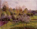 árvores de maçã de florescência Eragny 1895