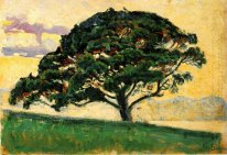 Die Bonaventure Pine 1893