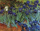 Iris 1889