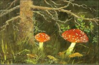 Toadstools sous l'arbre