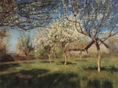 Árvores de Apple na flor 1896 2