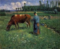 girl tending a cow in pasture 1874