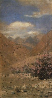 Rosas en Ladakh 1876